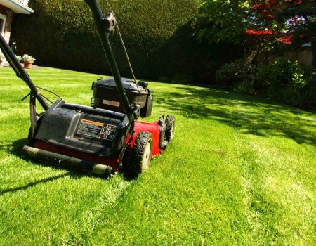 Lawn Care & Maintenance